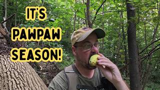 It's Pawpaw Season!