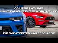 Kaufberatung: Mustang GT vs Camaro V8? Die wichtigsten Unterschiede!