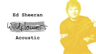 Ed Sheeran - Wildflowers (Acoustic)