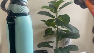 On-the-Go Alani Nu Energy Drink Mix Alani Nu