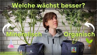 Comparison Grow: Organic vs. Mineral Part 2