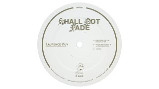 Laurence Guy - Mutual Excitement Is A Wonderful Thing [SNF057]