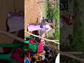KILIO CHA KANISA HILI NIKIKALI KILIO CHA KANISA HILI NIKIKALI