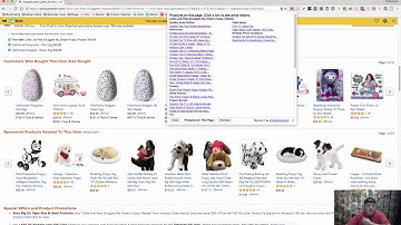 Camelizer Tutorial | Using CamelCamelCamel to Make Online Arbitrage Smarter