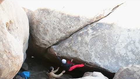Dodging Bullets, Joshua Tree