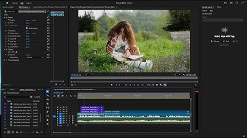 Ink Transition Tutorial in Premiere Pro   Ink Transition Effect
