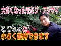 【大きくなったモミジ・アジサイ】剪定のポイントを実践で解説します。不要な枝がわかれば誰でも簡単に剪定ができます。【ガーデニング】【園芸】【造園】