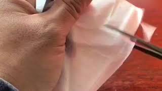 ホーム | pigscissors