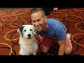 Beginning of video