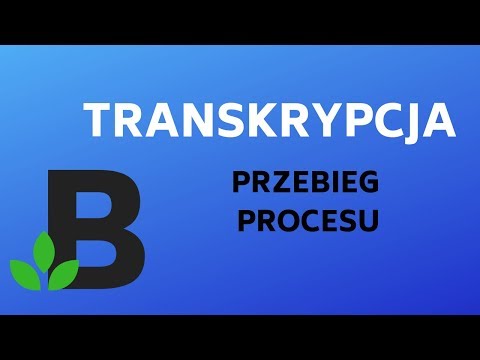 Wideo: Jakie są etapy transkrypcji?