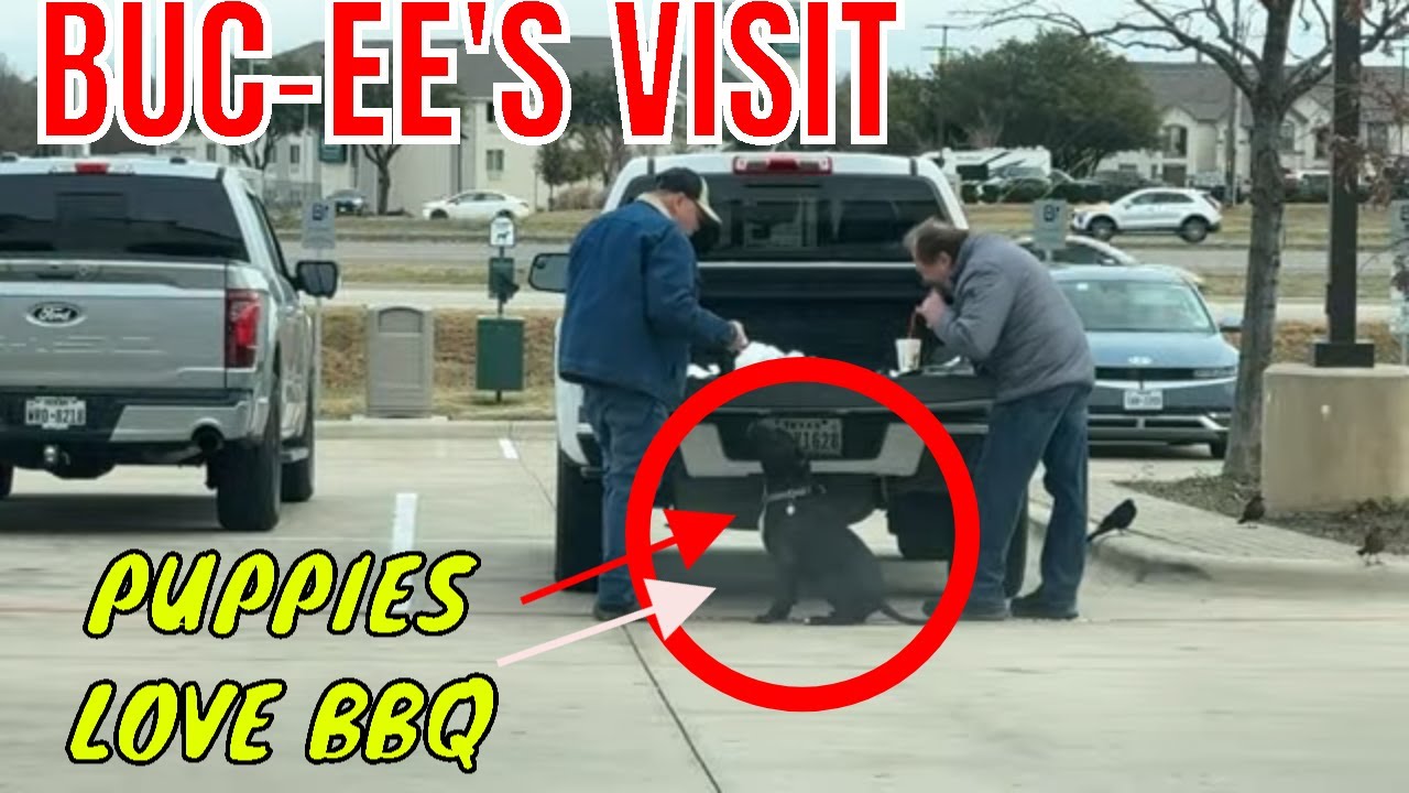 BUC-EE’S Texas LIVE Stream - BBQ - Tours and Food. ITS COLD IN DFW. Sir Loon Shivers