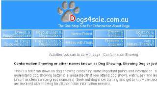 How-To Be A Ring Steward At A Dog Show