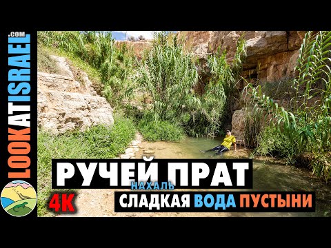 Ручей Нахаль Прат - Сладкая вода пустыни | 4K | נחל פרת