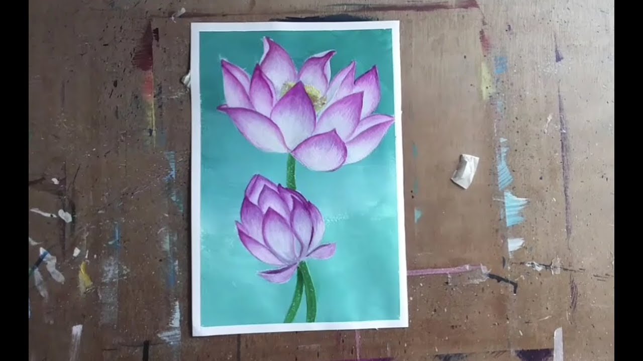 สอนวาดดอกบัว 