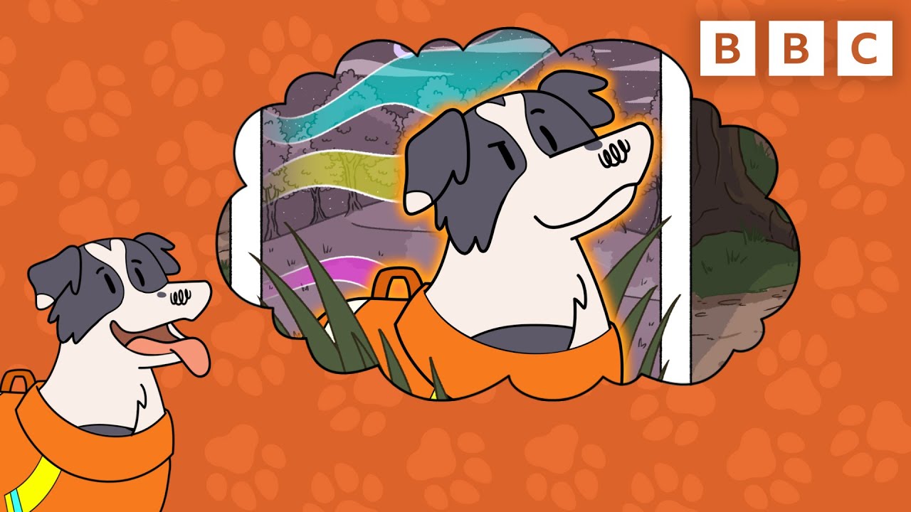 Get To Know Dan The Rescue Dog Dog Squad CBeebies YouTube Get To Know Dan The Rescue Dog Dog Squad CBeebies YouTube