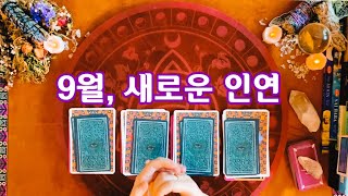[타로카드/연애운] 9월에 새로운 인연 어떨까? ✶팩폭주의✶ 조금 있어요 ‍♀️