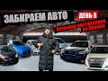 Еженедельное поступление АВТО из ЯПОНИИ - НЕ ЗЕЛЕНКА!