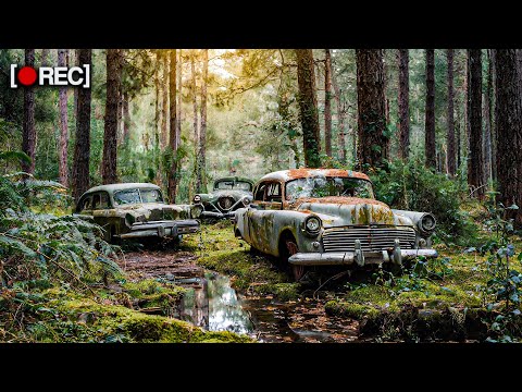 ABANDONED classic cars in the middle of the forest!