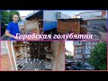 Городская голубятня Армана