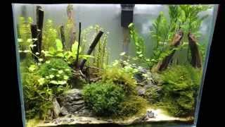 Mini M 36x22x26- final video