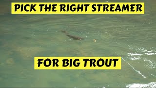 How To Pick The Right Streamer For Catching Big Trout