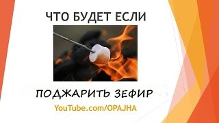 Что будет если поджарить зефир Что будет если поджарить зефир