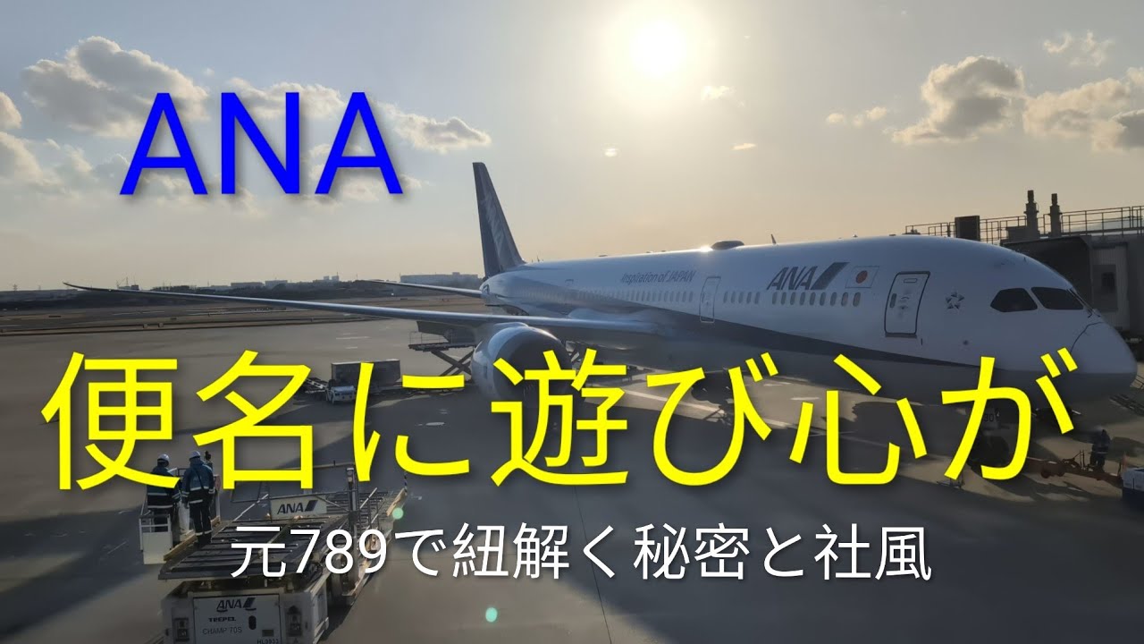 ANA伊丹→羽田便に隠されたヒミツを元789からご紹介