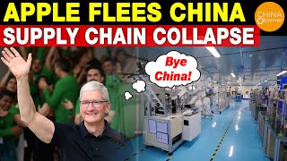 Apple's Reduced Orders Challenge Survival of Chinese Supply Chains, Benefit India and Vietnam
