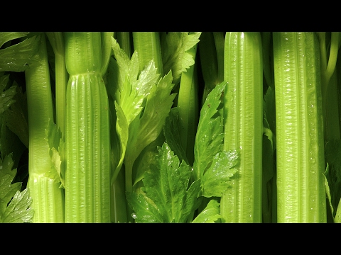 Video: Informace o dutém celeru – Proč je můj celer dutý uvnitř