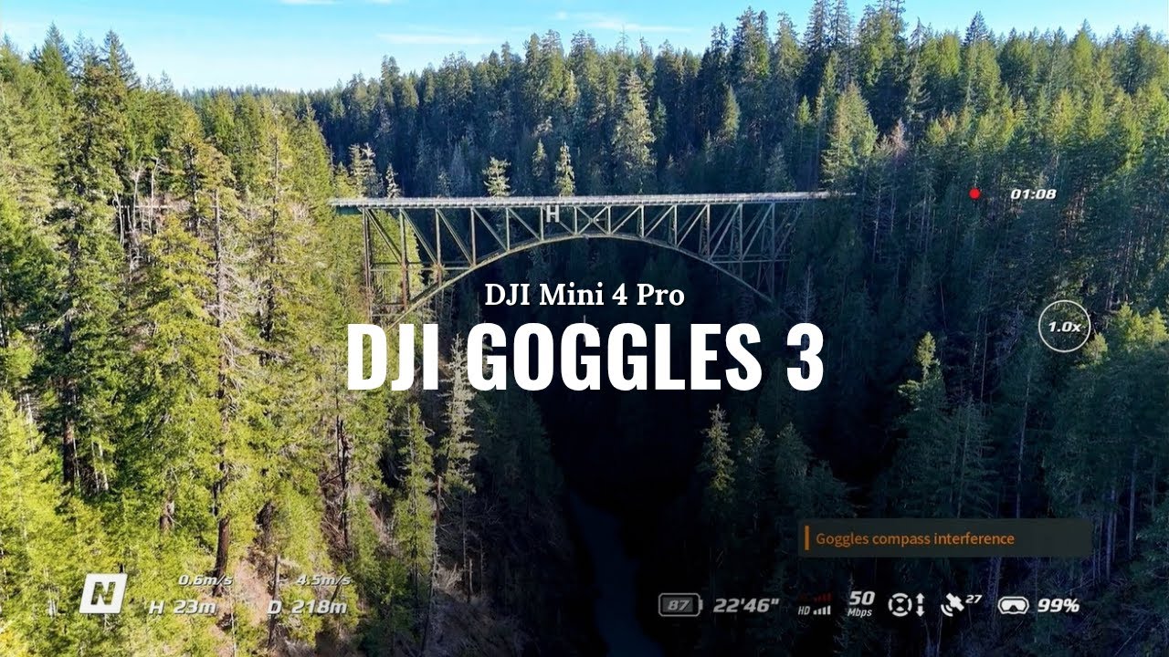 DJI Goggles 3 + Mini 4 Pro: Is This a Good FPV Combo? | First Flight # ...