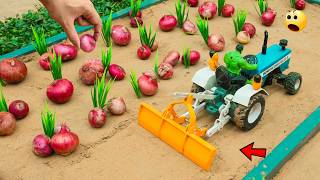 DIY Mini Tractor Cultivator & Land Leveler for Onion Farming