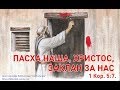 Почему эта ночь не такая как все!! &quot;Прямой эфир в Инстаграм на Пейсах&quot; 9 Апреля 2020р.