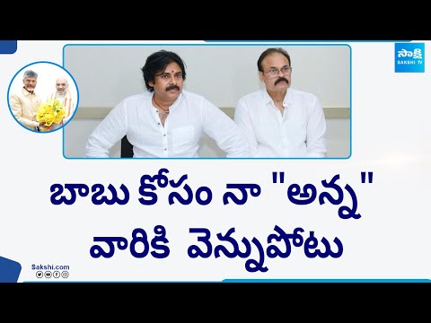 Janasena Activists Fires On Pawan Kalyan | Naga Babu MP Seat | Chandrababu | AP Elections @SakshiTV - SAKSHITV