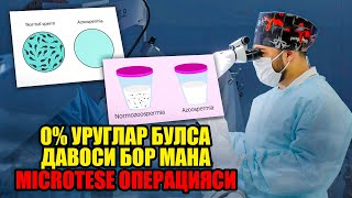 Бепуштлик. Спермограмма 0% булса мана операцияси бор…