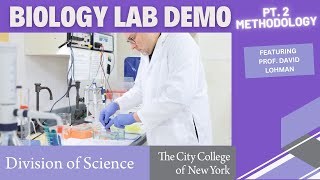 CCNY Biology Lab Demo Part 2 - Methodology