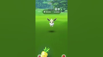 Love Eevee shiny! What should I evolve this one into?? 🤔