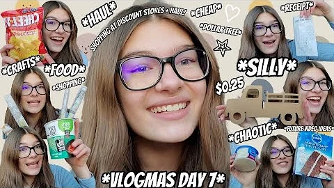 Vlogmas Day 7 - Come Shopping With Me At Discount Stores + Haul! |#vlogmas|