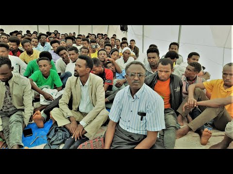 Ayyaana Yaadannoo Warra Abbaa Oromoo Galma Gafarsa Burraayyuutti Guraandhala 2012 Kabajame 