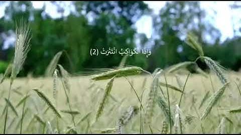 تلاوة هادئة وجميلة لأخي القارئ عبدالرحمن أبوسلامه💛  "سورة الإنفطار"