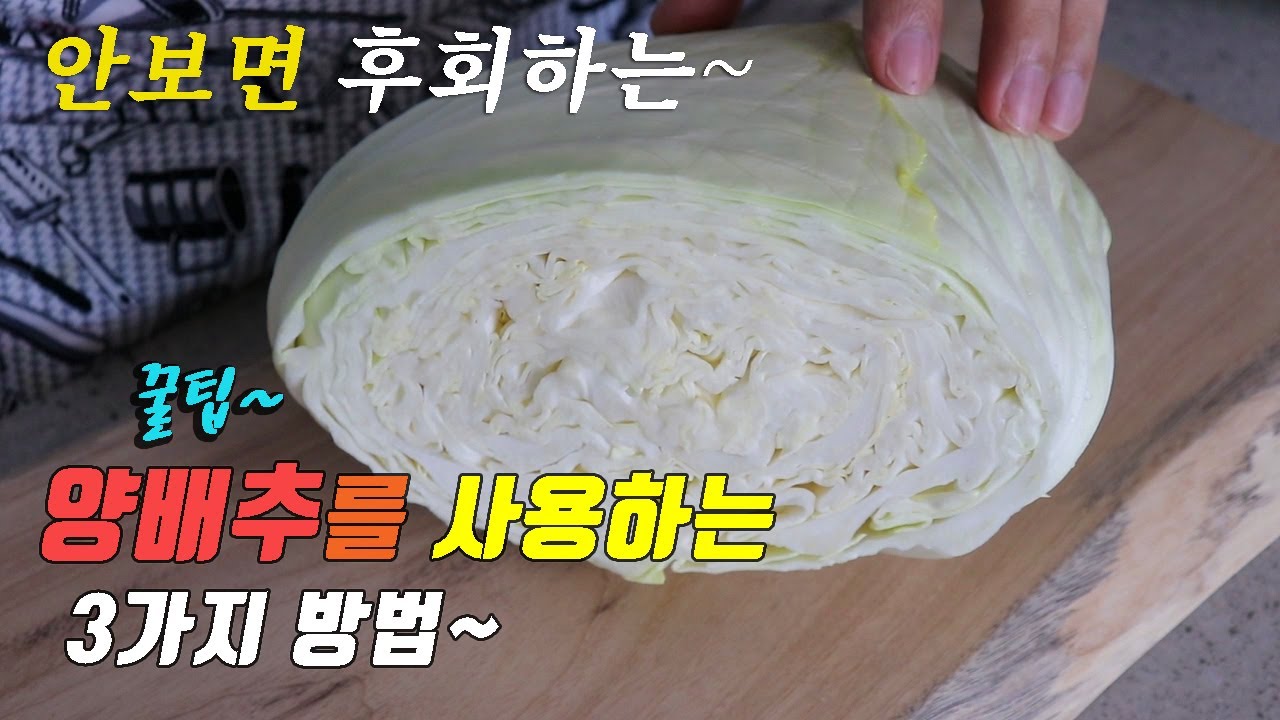 간단하고 맛있는 양배추 요리 3가지~ 강쉪^^ , 3 kinds of cabbage recipe, korea food recipe~