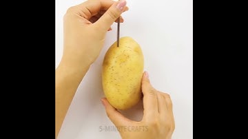 Electricity With Potato😎 #shorts #trending @5MINUTEMAGIC