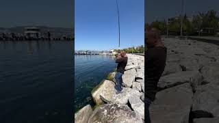 Kavaklı Yine Bir Vatos Macerası Rasgele Dostlar Yeni Videolar Için Abone Olup Takipte Kalalım