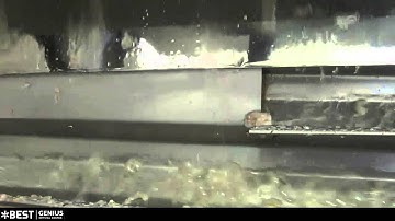Warm water shrimp sorting machine Genius - TOMRA Sorting