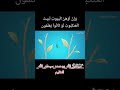 و إن وهن البيوت لبيت العنكبوت الشيخ محمد علي الشنقيطي 