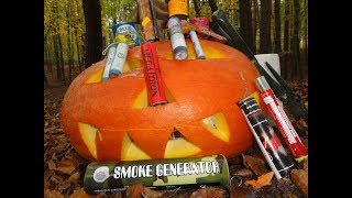750000 Subscribers Special | XXXL POLENBÖLLERTOUR | TheOftler Update