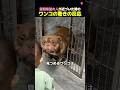 保護犬が里親に出会った瞬間🥹
