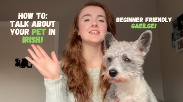 Meet my DOG Snoop 🐶 | BEGINNERS IRISH (as Gaeilge)
