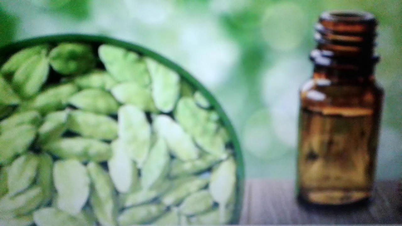 Масло кардамона: польза и применения.