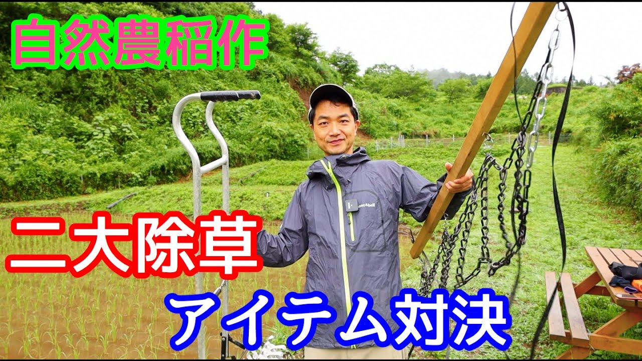 【無農薬田んぼ】最新ガジェット　田ぐるまvsチェーン除草機対決！