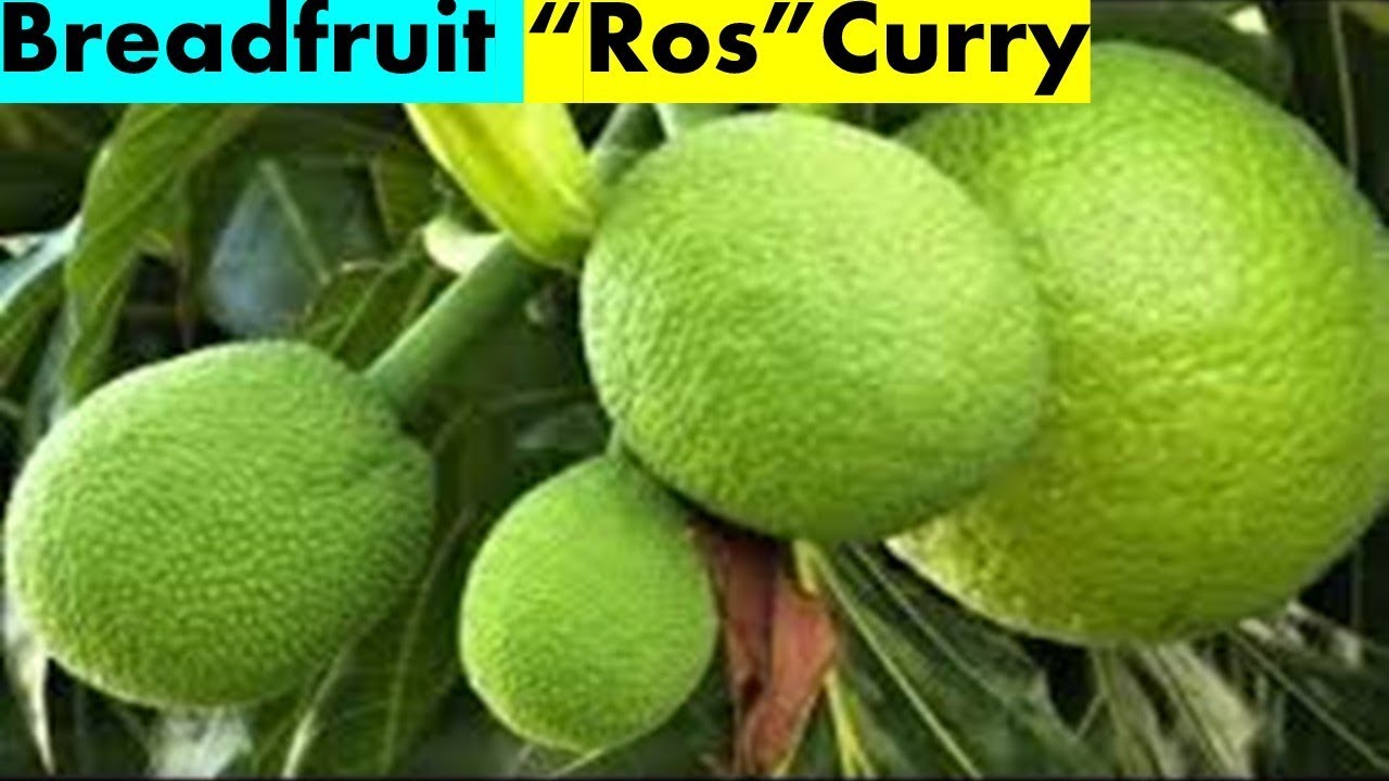 Goan Breadfruit 